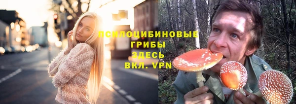 амфетамин Алексин